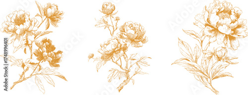 Elegant set of golden line art peony flowers on white background. Vector pencil traditional Asian botanical illustration.