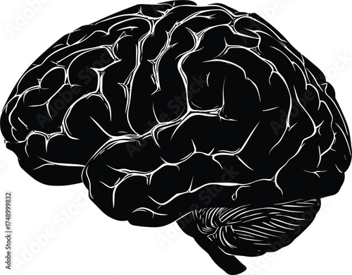Black silhouette human brain vector illustration isolated on white background