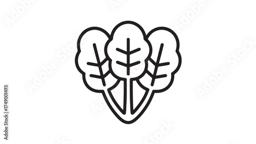 Simple line art icon of three fresh spinach leaves representing healthy eating and organic food.