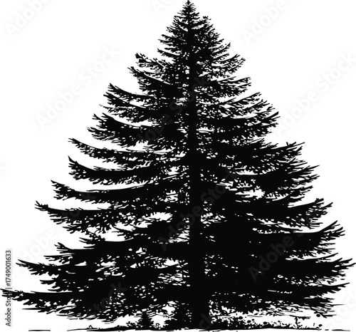 Black silhouette vector of fir tree with layered branches, minimal natural shape  