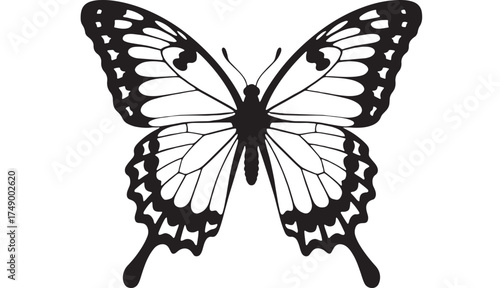 Elegant black and white butterfly with intricate wing patterns, symbolizing transformation and nature's beauty.