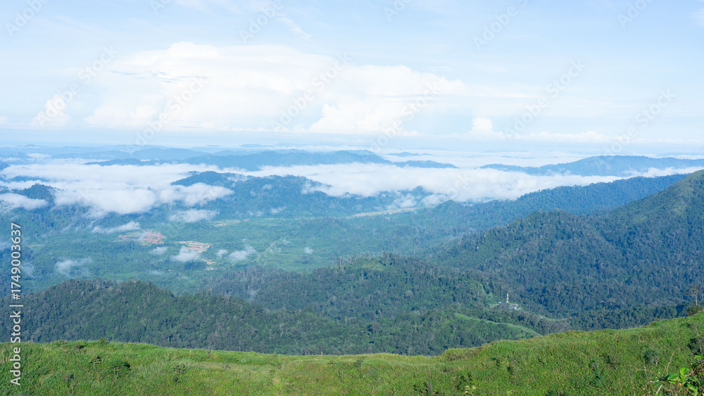 Fototapeta premium Panoramic vista over mountain landscape: The lush green slopes of majestic mountains gradually give way to a soft, misty horizon.