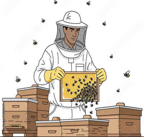 Beekeeper Collecting Honey from Hive