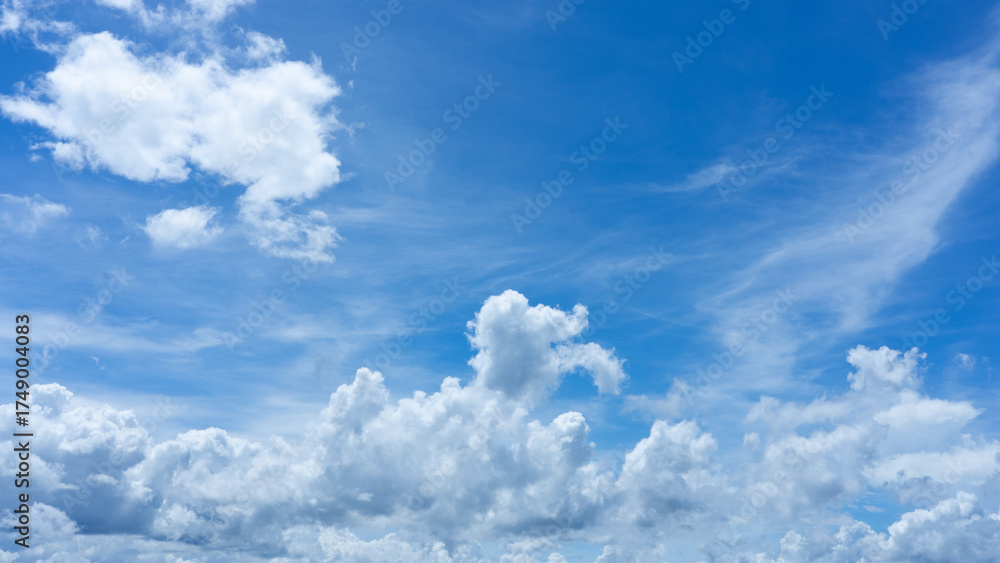Fototapeta premium Sky Canvas: A vibrant blue sky canvas adorned with fluffy, billowing clouds, inviting viewers to embrace the tranquility and vastness of nature.