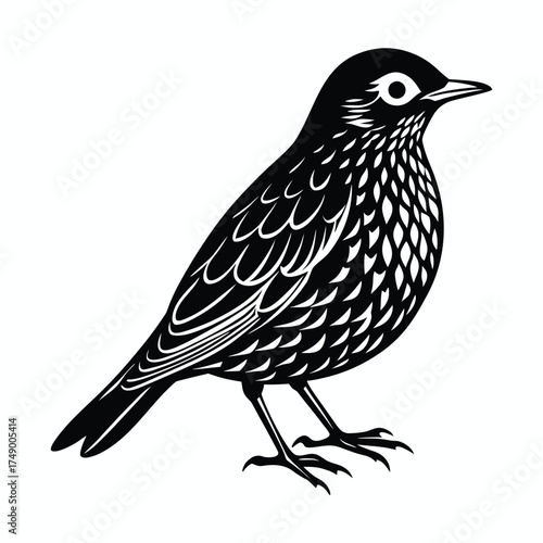 Detailed linocut-style graphic of a small bird with intricate feather patterns, standing still