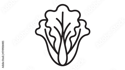 Simple line drawing of a fresh green lettuce head, symbolizing healthy eating and organic produce.