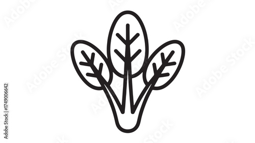 Simple line art illustration of three fresh spinach leaves