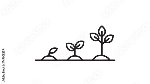 Simple line illustration showing the growth stages of a plant from seedling to tree