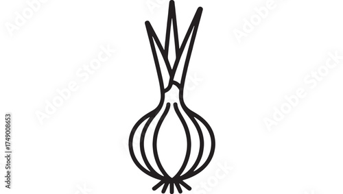 Simple line drawing of a fresh onion with green sprouts on a white background