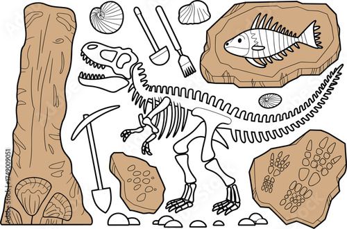 Dinosaur Skeleton And Fossil Collection With Paleontology Tools paleontologist excavation