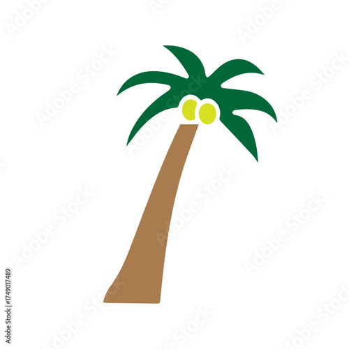 Tropical Palm Tree Illustration