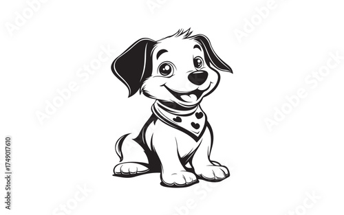 black and white dog