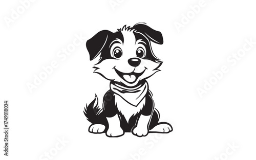 black and white dog