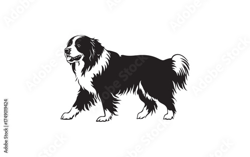 black silhouette of a dog