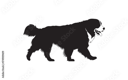 silhouette of a dog