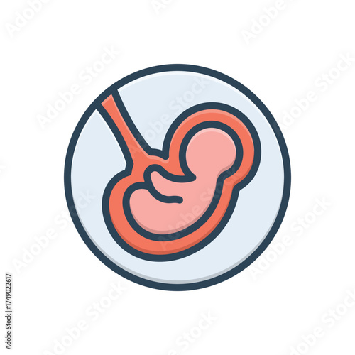 Color illustration icon for fetus