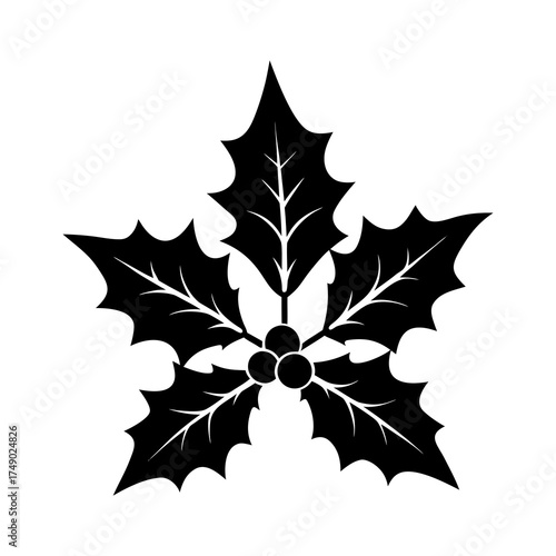 holly leaves silhouette vector on white background