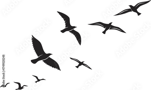 Silhouette of birds flying in formation against a white background conveying freedom and migration concept