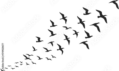 Flock of birds flying in formation against a white background symbolizing freedom and migration patterns