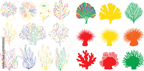 Colorful coral seaweed and anemone illustrations ginkgo