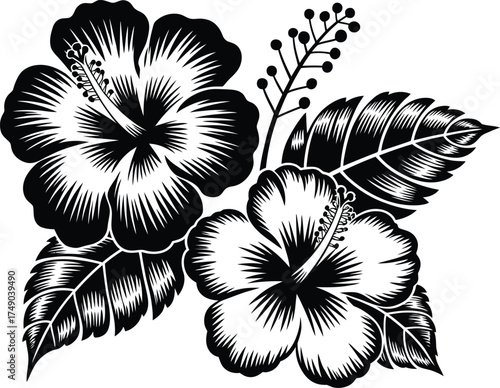 Black and white illustration of two hibiscus flowers with leaves and buds