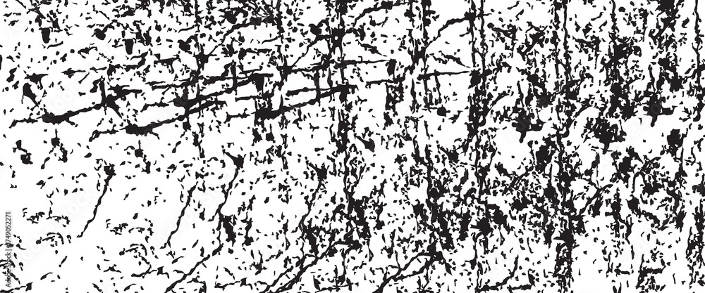 Fototapeta premium Slim lines texture. Parallel and intersecting lines abstract pattern. Abstract textured effect. Black isolated on white background.Vector illustration. EPS10.