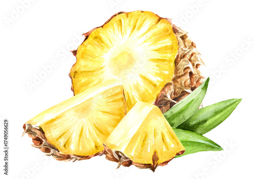 Ripe fresh pineapple fruit. Hand drawn watercolor illustration isolated on white background