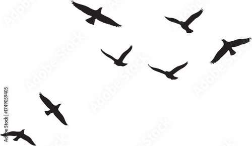 Flock of birds flying in silhouette isolated on transparent background
