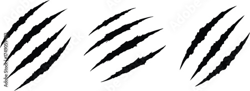 Black claw marks silhouette isolated on transparent background