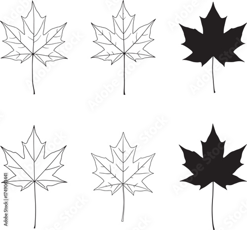 Collection of six stylized maple leaves in Silhouette and line art style for autumn design elements