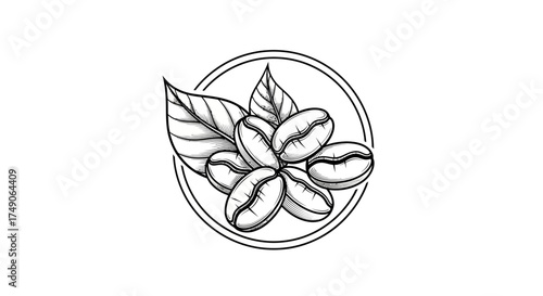 icon coffe shop vector logo green beans luxury design 