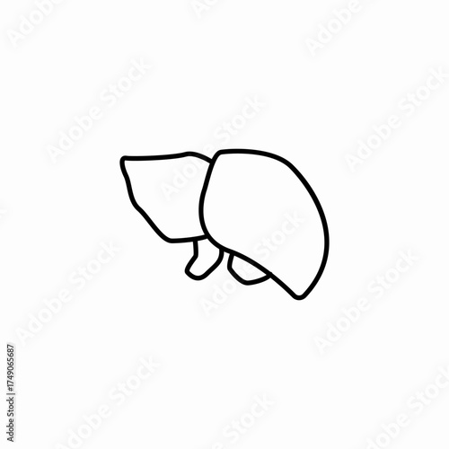 human organ liver icon sign vector