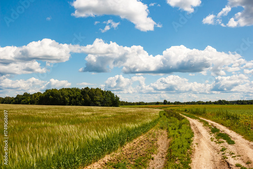 A scenic view of a dirt road winding through green agricultural fields under a bright blue sky with fluffy white clouds. A forest line borders the horizon