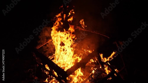 Bright and Lively Flames in a Campfire Setting at Nighttime