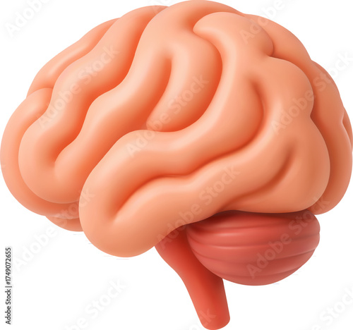 3D Vector Human Brain Icon for Intelligence and Medical Concept