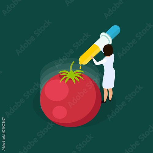 A researcher genetically modifies a tomato with a pipette in a laboratory for science