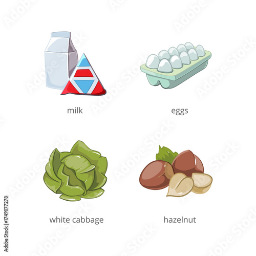 A collection of common grocery items including milk, eggs, white cabbage, and hazelnuts, perfect for healthy eating and recipes