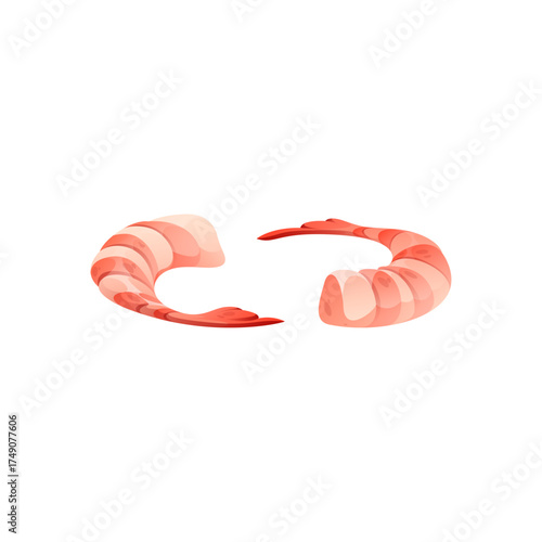 Pair of stylized shrimp with segmented tails and visible antennae, isolated on white background