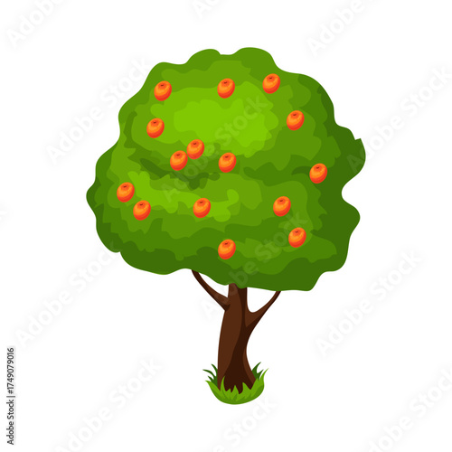 Green apple tree with red apples, isolated on white background, a symbol of healthy harvest