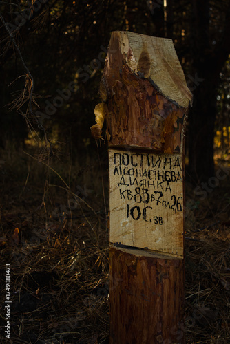 The plaque is made of wood.