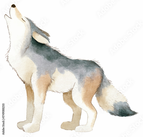 Watercolor Wolf
