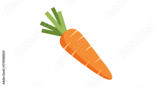 Illustration of a vibrant orange carrot with green leafy top.