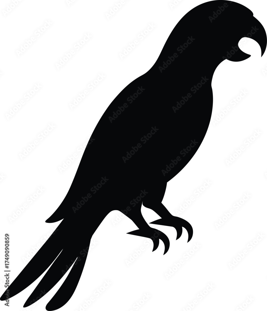 Fototapeta premium silhouette of a parrot