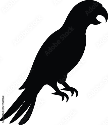 silhouette of a parrot