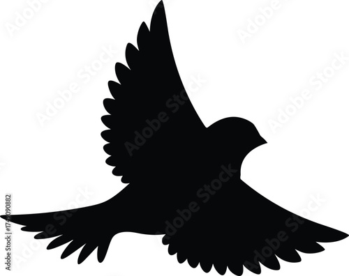 Photography silhouette of a sparrow chirping with wings