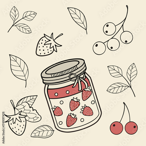 Hand drawn illustration of a jar with strawberries and other fruits