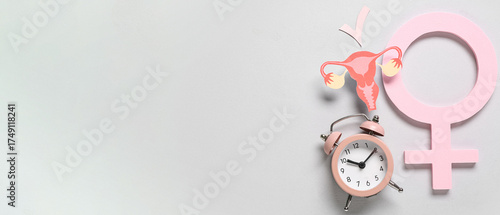 Paper uterus with check mar...