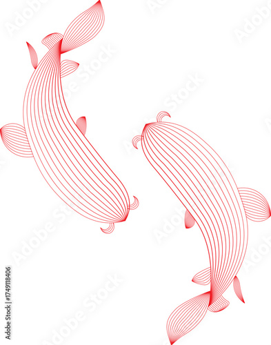 Abstract Fish Line Art in a white background 