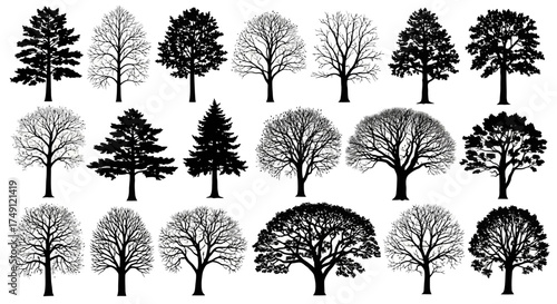Collection of detailed vector tree silhouettes for landscape design and nature illustrations, white background