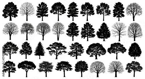 Collection of detailed vector tree silhouettes for landscape design and nature illustrations, white background